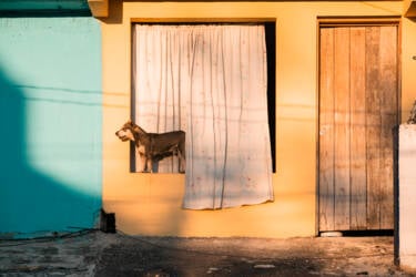 Helin Bereket Nikon Zfc for the Nikon Magazine ,Helin Bereket Nikon Z 6II for the Nikon magazine