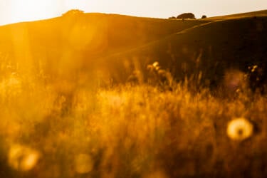 Photos for Nikon magazine