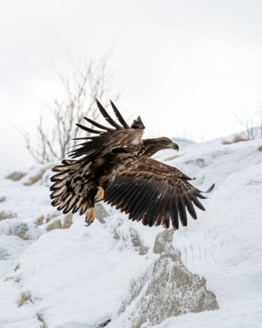 Nikon magazine - ZR tried and tested