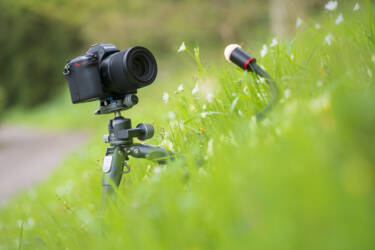 Nikon magazine - macro photography with spring flowers
